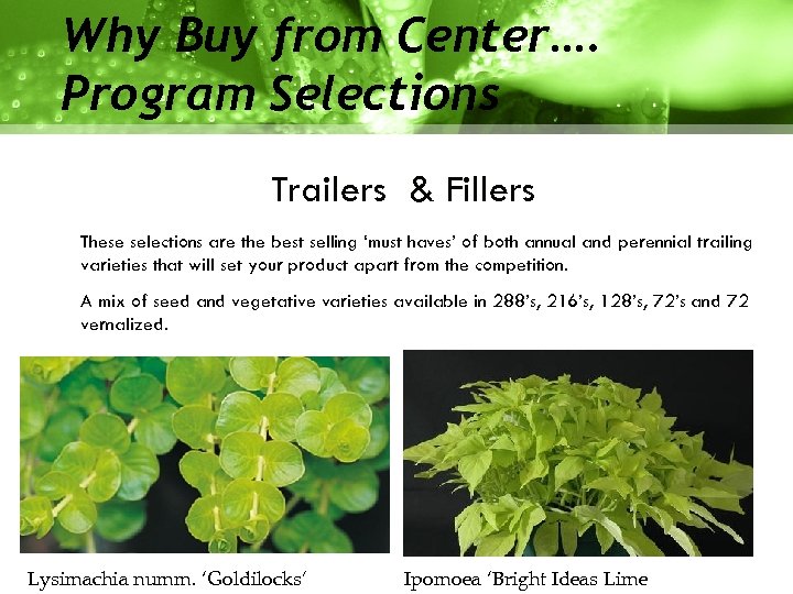 Why Buy from Center…. Program Selections Trailers & Fillers These selections are the best