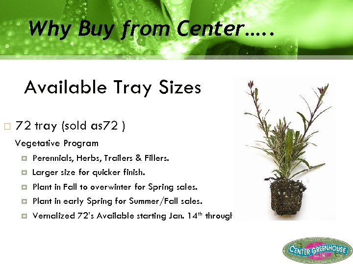 Why Buy from Center…. . Available Tray Sizes 72 tray (sold as 72 )