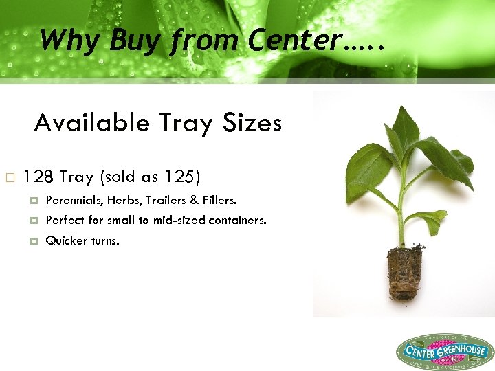 Why Buy from Center…. . Available Tray Sizes 128 Tray (sold as 125) Perennials,