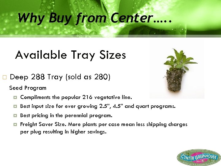 Why Buy from Center…. . Available Tray Sizes Deep 288 Tray (sold as 280)