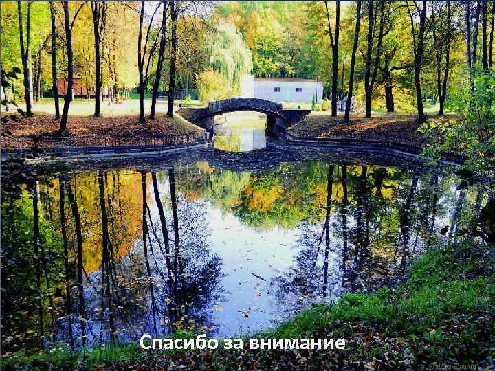 Спасибо за внимание 