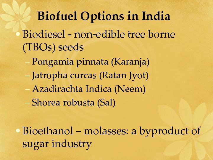 Biofuel Options in India • Biodiesel - non-edible tree borne (TBOs) seeds – Pongamia