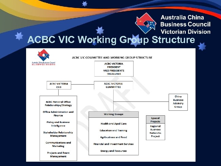 ACBC VIC Working Group Structure 