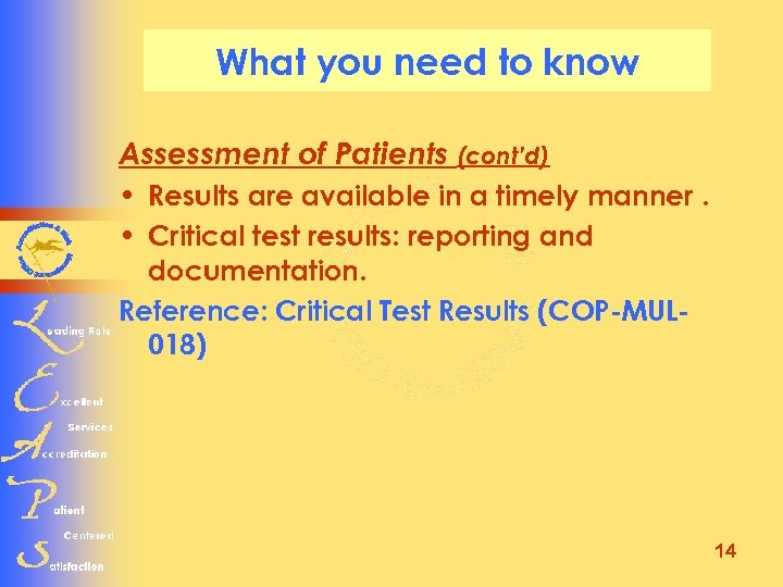 What you need to know Assessment of Patients (cont’d) • Results are available in