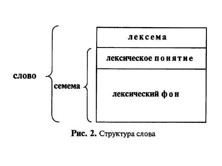 Лексический фон и фоновая лексика