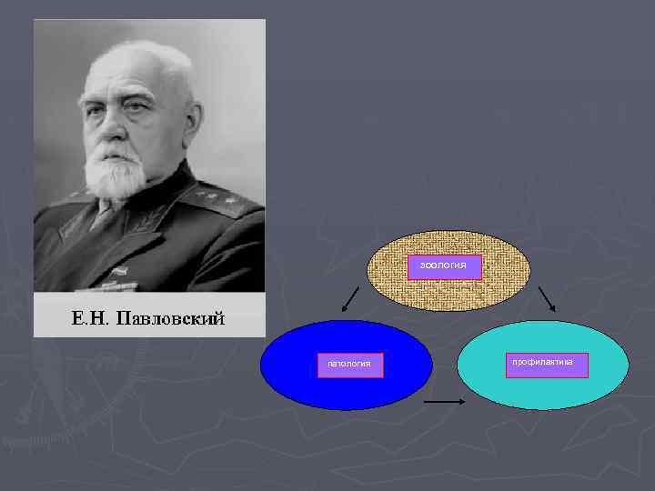 зоология патология профилактика 