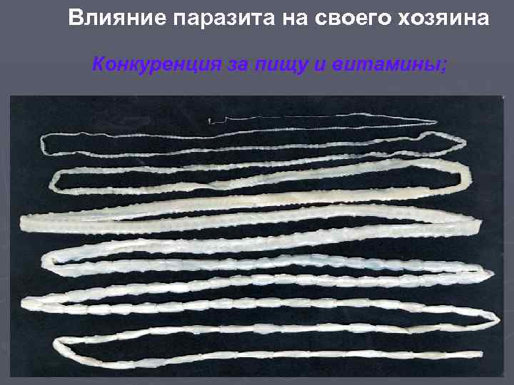 Влияние паразита на своего хозяина Конкуренция за пищу и витамины; 