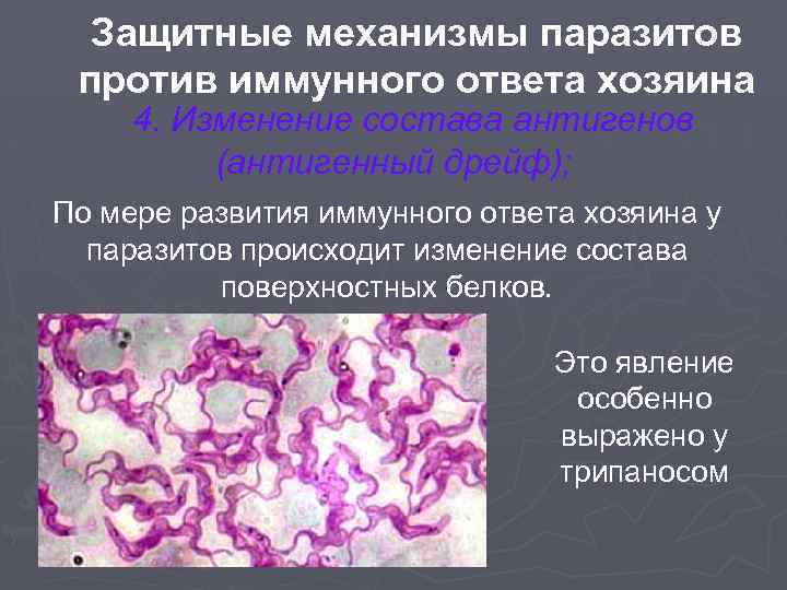 Защитные механизмы паразитов против иммунного ответа хозяина 4. Изменение состава антигенов (антигенный дрейф); По