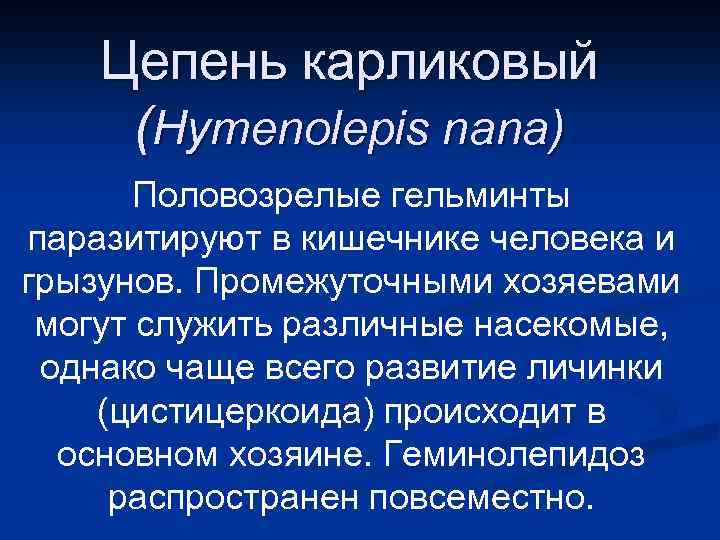 Цепень карликовый (Hymenolepis nana) Половозрелые гельминты паразитируют в кишечнике человека и грызунов. Промежуточными хозяевами