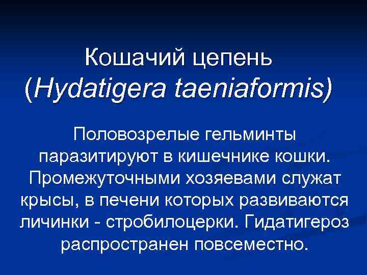 Кошачий цепень (Hydatigera taeniaformis) Половозрелые гельминты паразитируют в кишечнике кошки. Промежуточными хозяевами служат крысы,