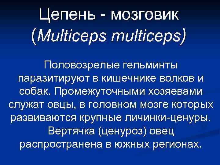 Цепень - мозговик (Multiceps multiceps) Половозрелые гельминты паразитируют в кишечнике волков и собак. Промежуточными