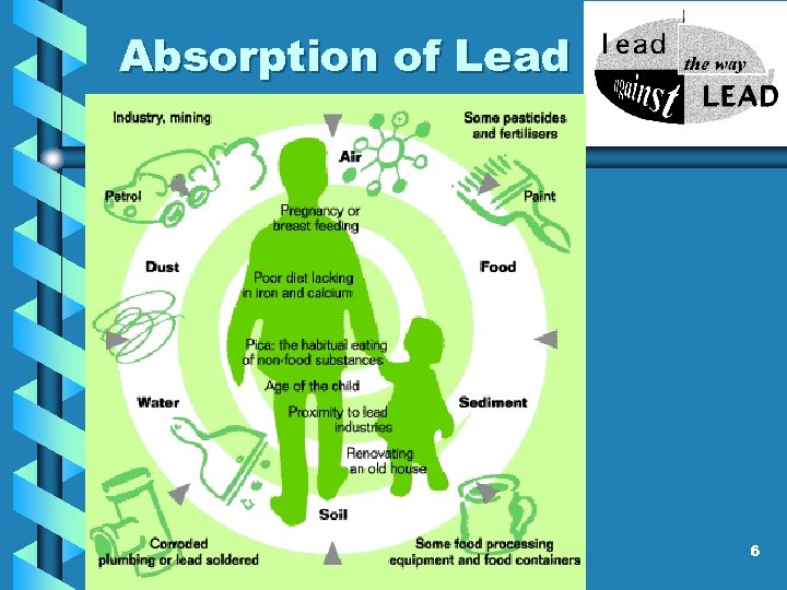 Absorption of Lead 6 