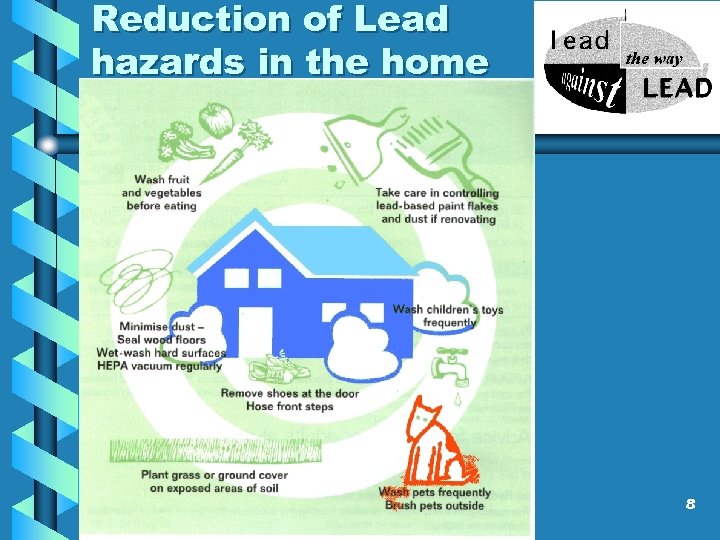 Reduction of Lead hazards in the home v 8 
