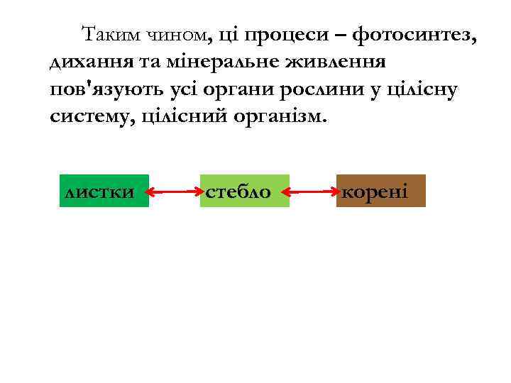 Таким чином, ці процеси – фотосинтез, дихання та мінеральне живлення пов'язують усі органи рослини