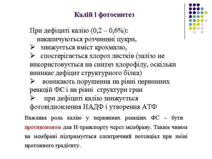 Калій і фотосинтез При дефіциті калію (0, 2 – 0, 6%): накапичуються розчиннні цукри,