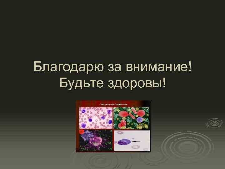 Благодарю за внимание! Будьте здоровы! 