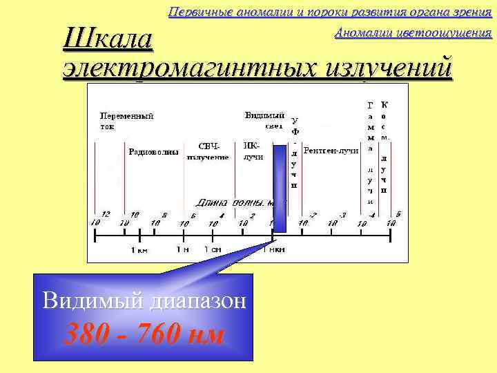 Первичные аномалии и пороки развития органа зрения Аномалии цветоощущения Шкала электромагинтных излучений Видимый диапазон