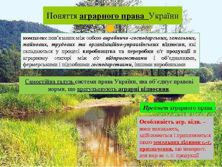 Поняття аграрного права України комплекс пов’язаних між собою виробничо -господарських, земельних, майнових, трудових та