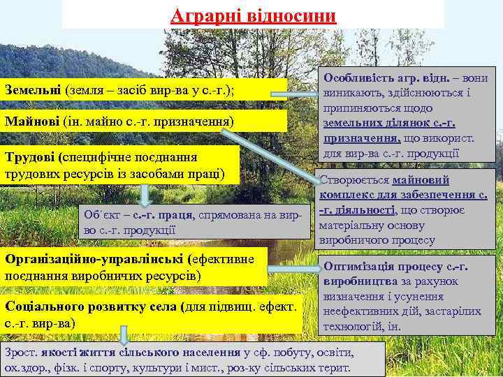 Аграрні відносини Класифікація аграрних відносин Земельні (земля – засіб вир-ва у с. -г. );