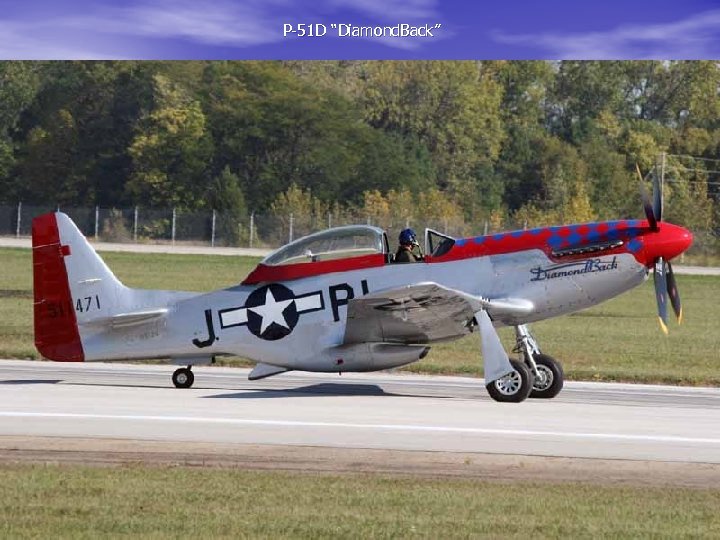 P-51 D “Diamond. Back” 