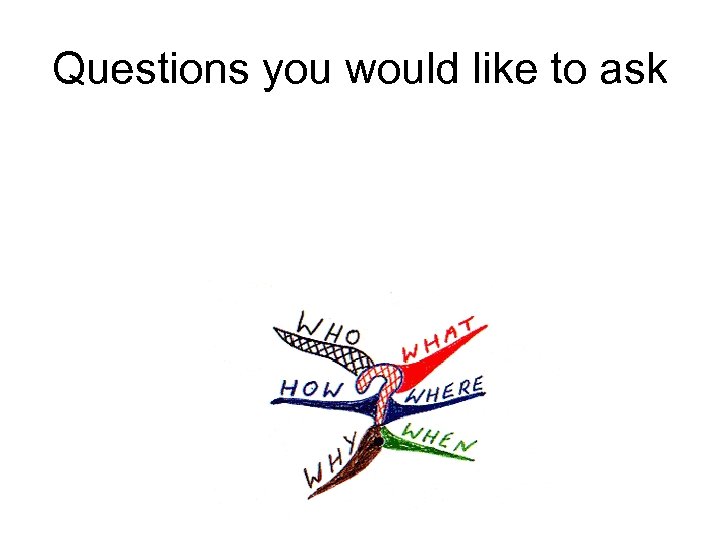 Questions you would like to ask 