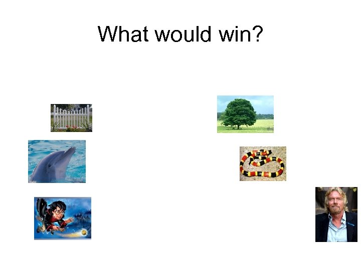 What would win? 