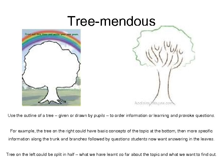 Tree-mendous Use the outline of a tree – given or drawn by pupils –