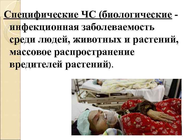 Специфические ЧС (биологические инфекционная заболеваемость среди людей, животных и растений, массовое распространение вредителей растений).