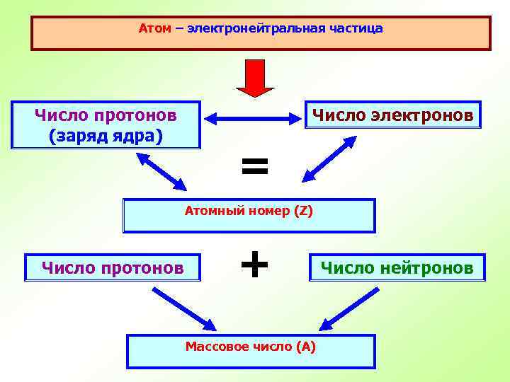 Атом – электронейтральная частица Число протонов (заряд ядра) Число электронов = Атомный номер (Z)