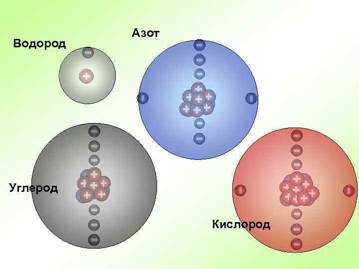 Водород Азот Углерод Кислород 