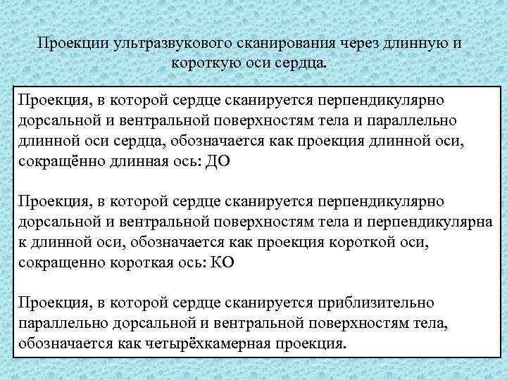 Проекции ультразвукового сканирования через длинную и короткую оси сердца. Проекция, в которой сердце сканируется