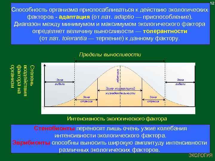 12 Способность организма приспосабливаться к действию экологических факторов - адаптация (от лат. adaptio —