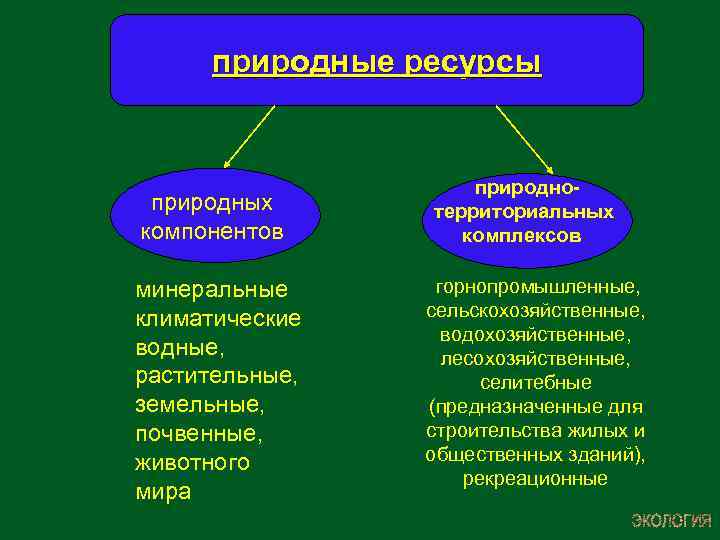 Что не является природным. Ресурсы природных компонентов: Минеральные климатические земельные. Растительные ресурсы схема. Природный компонент природный ресурс. Экология 1 этап.