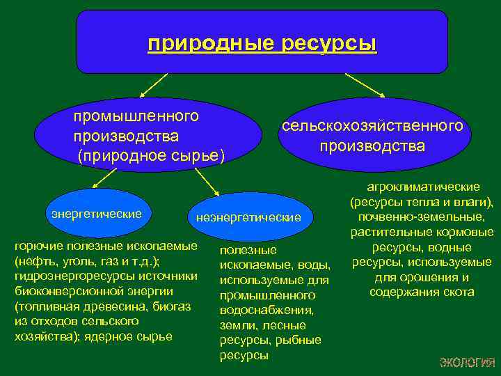 природные ресурсы промышленного производства (природное сырье) энергетические сельскохозяйственного производства неэнергетические горючие полезные ископаемые (нефть,