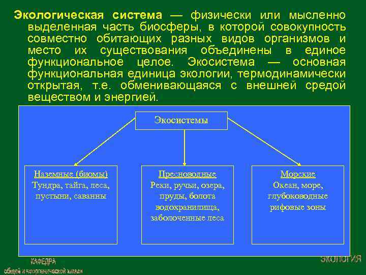 Исследовательский этап экологического проекта