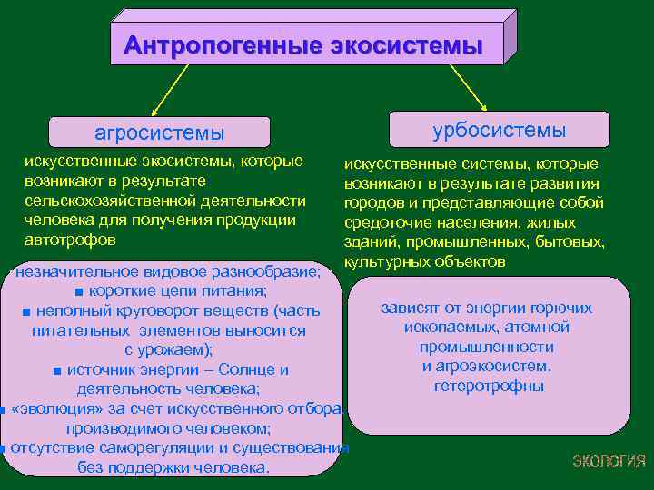 3 антропогенными факторами являются. Антропогенные экологические системы. Антропагенные экосистема. Типы антропогенных экосистем. Антропогенные экосистемы схема.