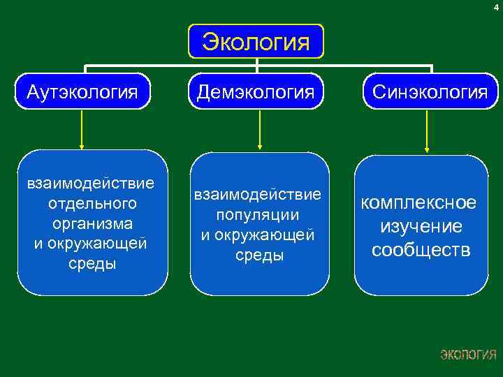 Экология синэкология демэкология