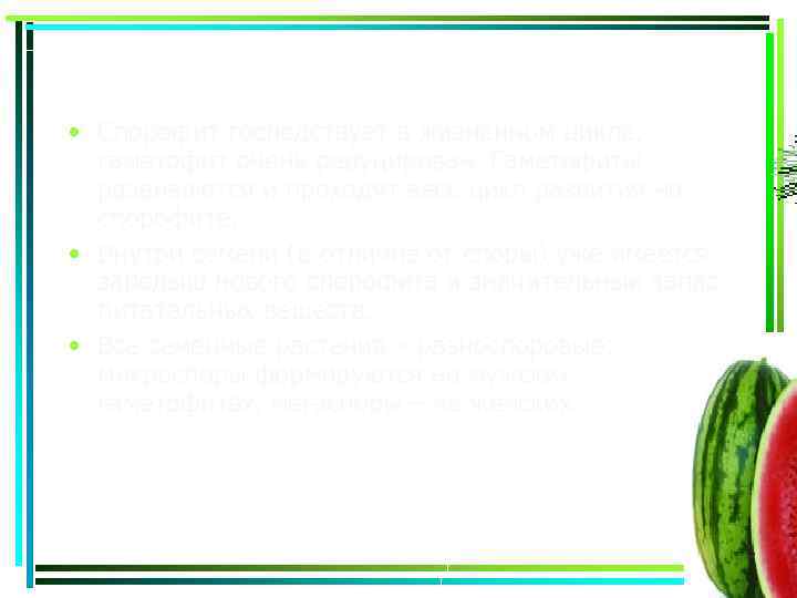  • Спорофит господствует в жизненном цикле, гаметофит очень редуцирован. Гаметофиты развиваются и проходят