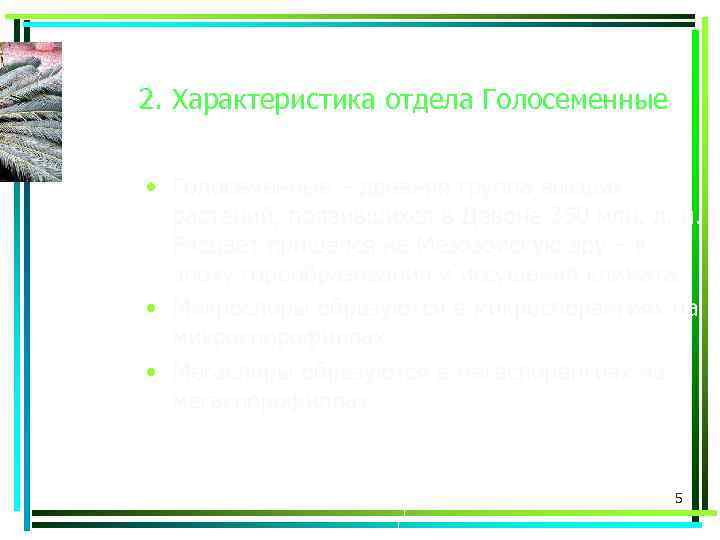 2. Характеристика отдела Голосеменные • Голосеменные – древняя группа высших растений, появившихся в Девоне