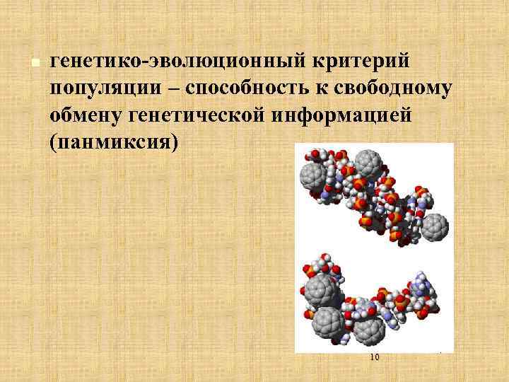 n генетико-эволюционный критерий популяции – способность к свободному обмену генетической информацией (панмиксия) 10 