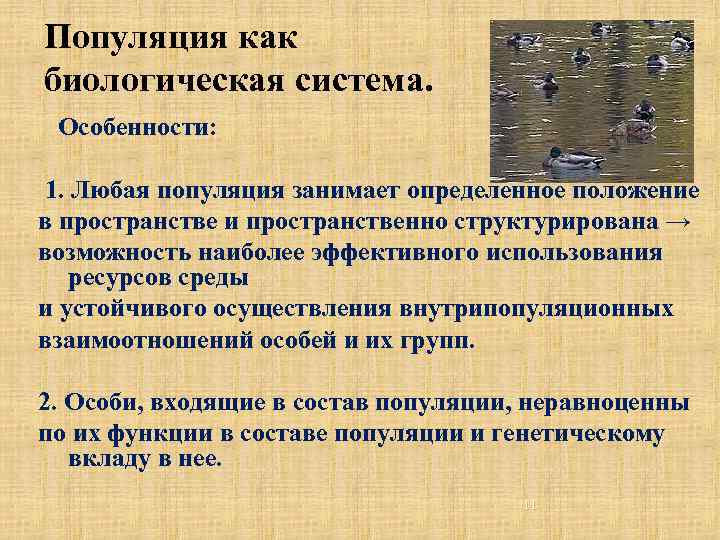 Популяция как биологическая система. Особенности: 1. Любая популяция занимает определенное положение в пространстве и