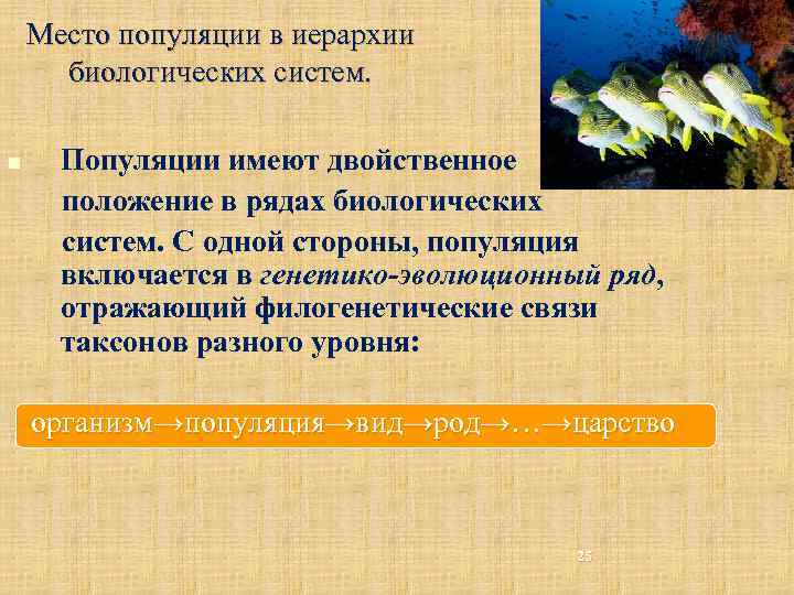 Место популяции в иерархии биологических систем. n Популяции имеют двойственное положение в рядах биологических