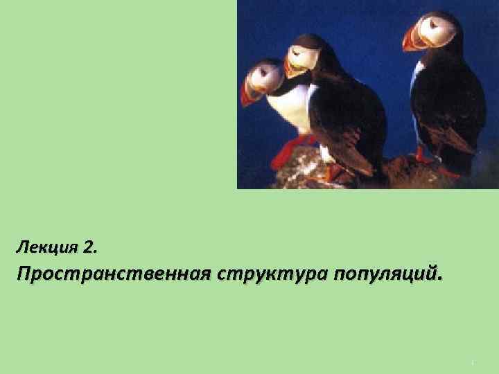 Лекция 2. Пространственная структура популяций. 1 
