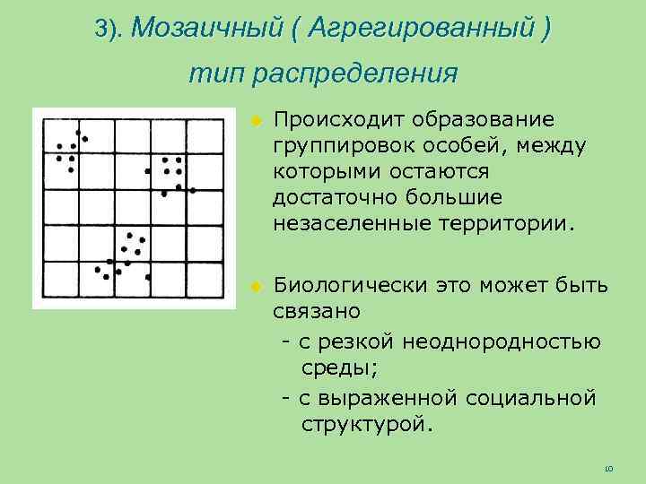 Как называется представленное на рисунке распределение особей популяции в пространстве