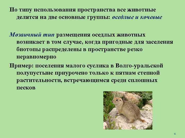 По типу использования пространства все животные делятся на две основные группы: оседлые и кочевые