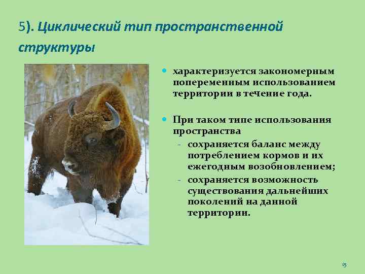 5). Циклический тип пространственной структуры характеризуется закономерным попеременным использованием территории в течение года. При