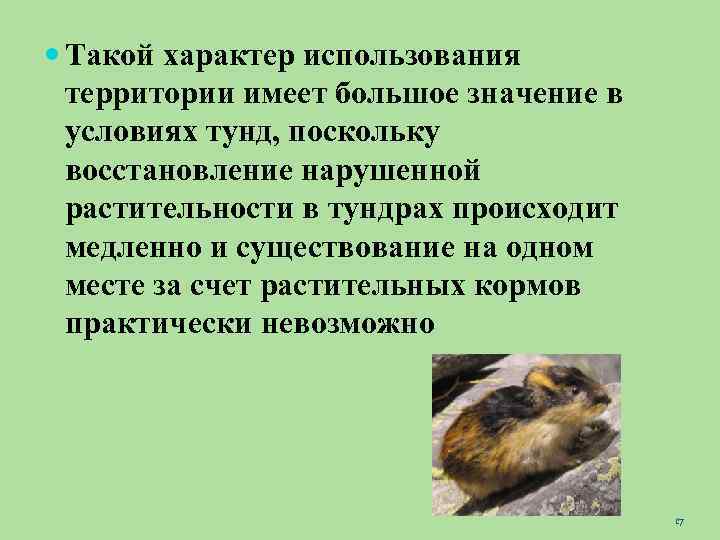  Такой характер использования территории имеет большое значение в условиях тунд, поскольку восстановление нарушенной