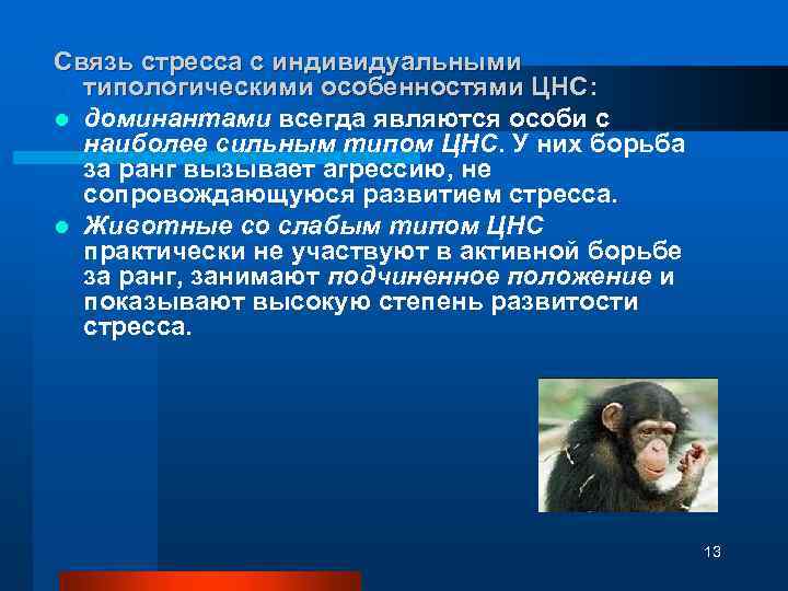 Связь стресса с индивидуальными типологическими особенностями ЦНС: l доминантами всегда являются особи с наиболее