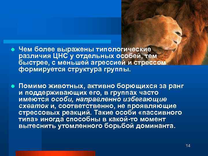 l Чем более выражены типологические различия ЦНС у отдельных особей, тем быстрее, с меньшей