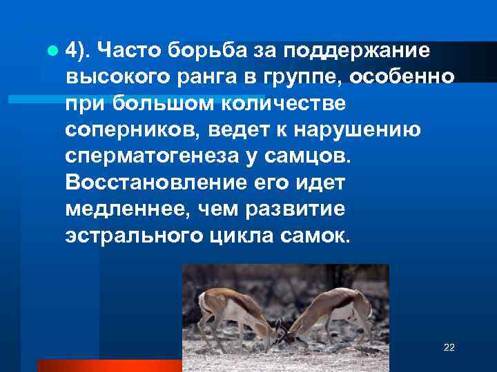 l 4). Часто борьба за поддержание высокого ранга в группе, особенно при большом количестве